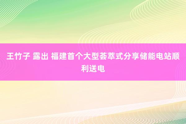 王竹子 露出 福建首个大型荟萃式分享储能电站顺利送电