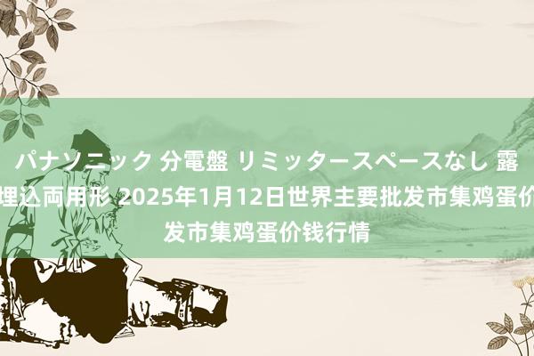パナソニック 分電盤 リミッタースペースなし 露出・半埋込両用形 2025年1月12日世界主要批发市集鸡蛋价钱行情