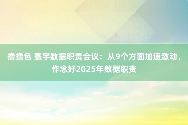 撸撸色 寰宇数据职责会议：从9个方面加速激动，作念好2025年数据职责