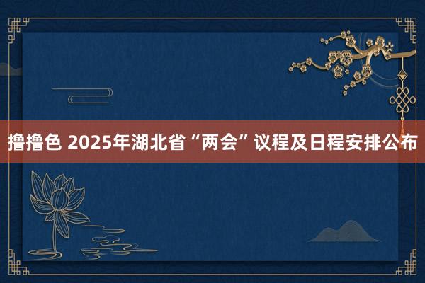 撸撸色 2025年湖北省“两会”议程及日程安排公布