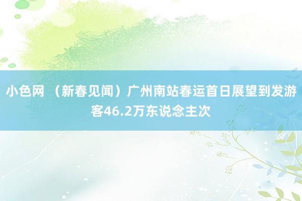 小色网 （新春见闻）广州南站春运首日展望到发游客46.2万东说念主次