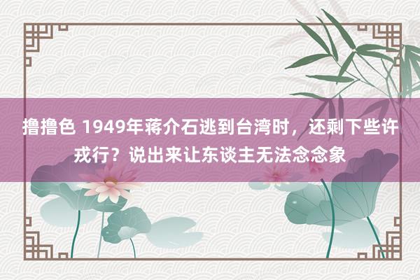 撸撸色 1949年蒋介石逃到台湾时，还剩下些许戎行？说出来让东谈主无法念念象