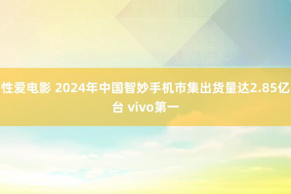 性爱电影 2024年中国智妙手机市集出货量达2.85亿台 vivo第一