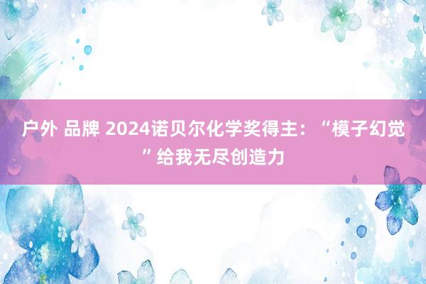 户外 品牌 2024诺贝尔化学奖得主：“模子幻觉”给我无尽创造力