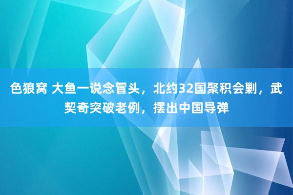 色狼窝 大鱼一说念冒头，北约32国聚积会剿，武契奇突破老例，摆出中国导弹