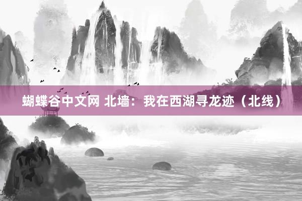 蝴蝶谷中文网 北墙：我在西湖寻龙迹（北线）