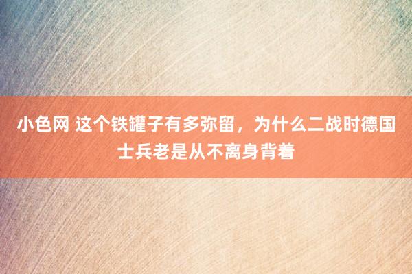 小色网 这个铁罐子有多弥留，为什么二战时德国士兵老是从不离身背着