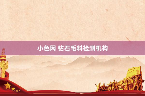 小色网 钻石毛料检测机构