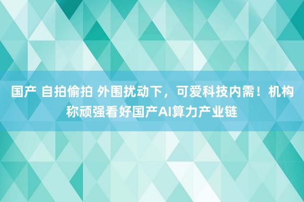 国产 自拍偷拍 外围扰动下，可爱科技内需！机构称顽强看好国产AI算力产业链